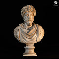 Busto di Marco Aurelio Dipinto a Mano