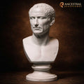 Busto Farnese di Giulio Cesare – Effetto Marmo
